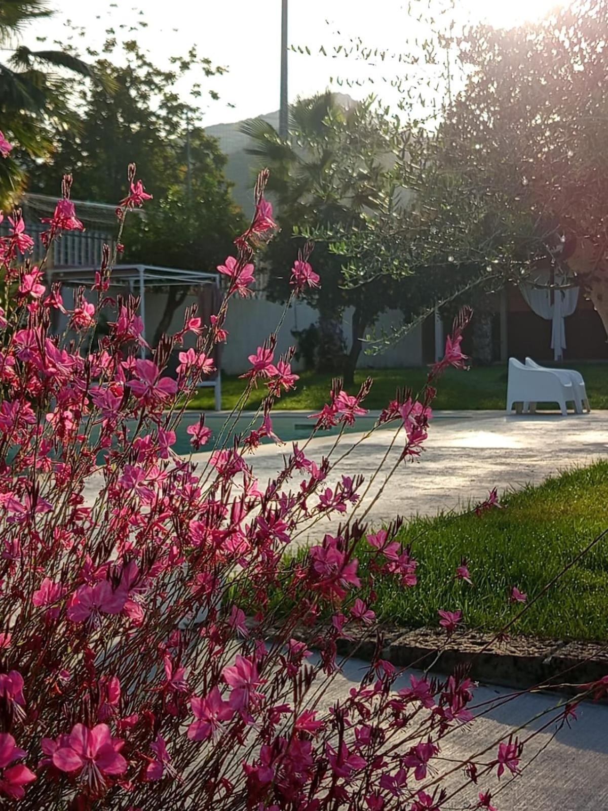 B&B Villa Limao Sarno Exterior photo
